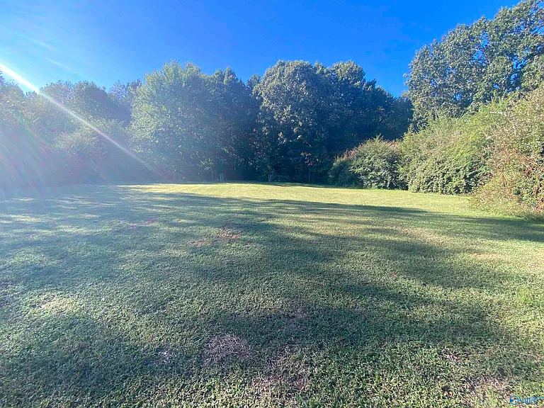242 Comet Dr — Photo 4