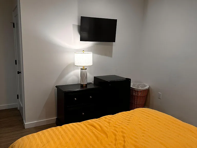 TV and fridge