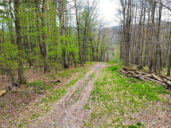 4th image of 0 Patent Line Rd Lot 7
