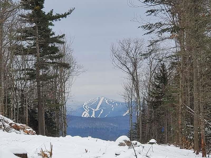 1st image of 37 Bear Paw Trl