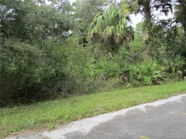 8924 N Evenstock Way, Crystal River, FL 34428