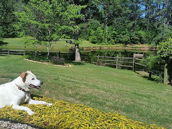 Side yard overlooks pond