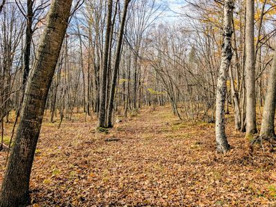 W North 20 School Rd, Glen Flora, WI, 54526