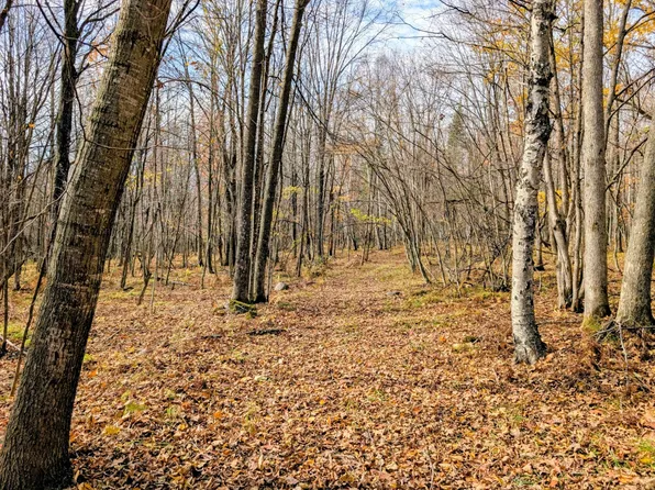 W North 20 School Rd, Glen Flora, WI 54526