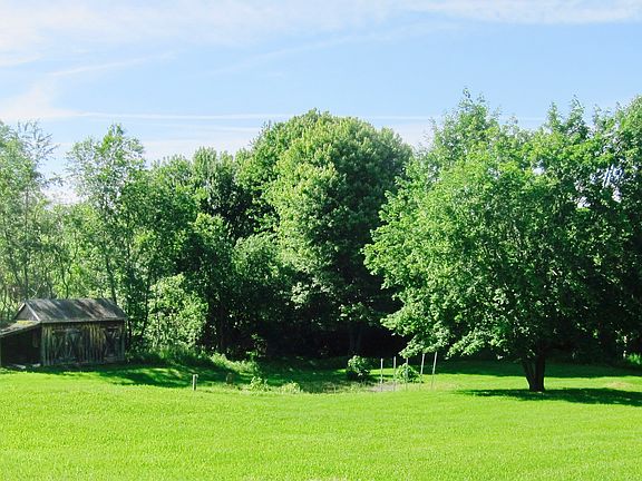 Enjoy Beautiful Back Yard