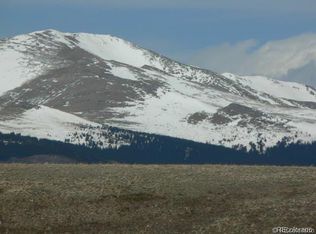 209 Stellar Jay Way, Fairplay, CO 80440