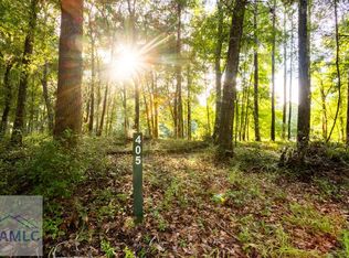 LOT 405 Blackberry Ln NE, Townsend, GA 31331