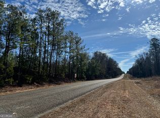 2 Dozier Rd, Ellaville, GA 31806