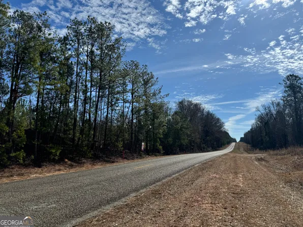 2 Dozier Rd, Ellaville, GA 31806