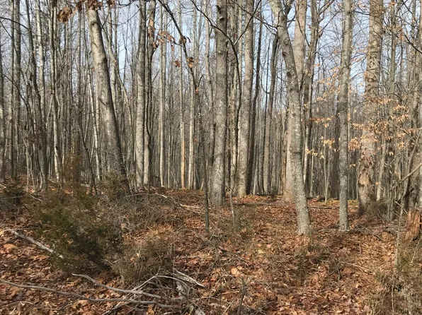 0 Plantation Rd Lot 11, Amherst, VA 24521