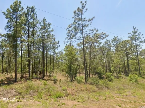 0 NW Water Oak Ave Lot 5, Dunnellon, FL 34431
