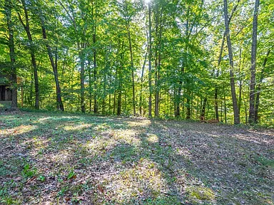 Property photo 39