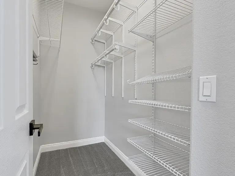 Master Closet #1