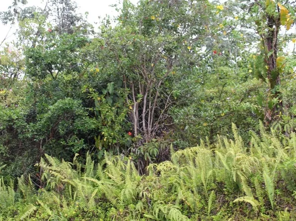 24th Ave Lot 99, Keaau, HI 96749