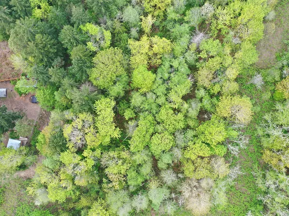 NE Mardell Ct Lot 10, Bainbridge Island, WA 98110