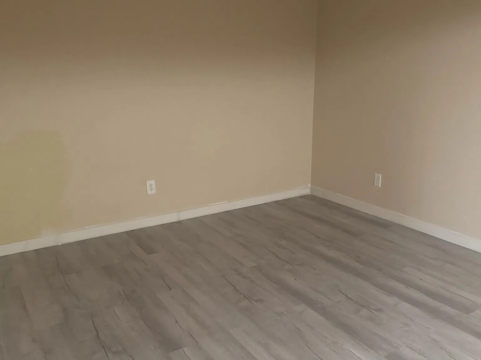 1 bed, 1300 sqft, $1,800 — Photo 2