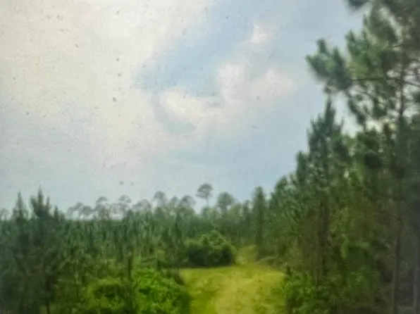 0 TRACT A MUDLAKE Road, Macclenny, FL 32040