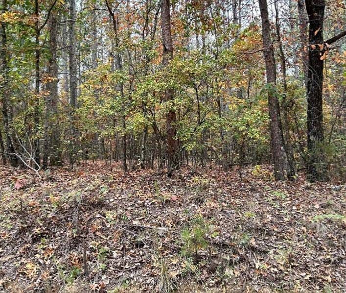 1st image of 0 Buck Jackson Road New Church Rd