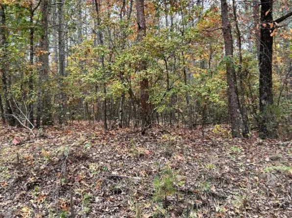 0 Buck Jackson Road New Church Rd, Vernon, AL 35592