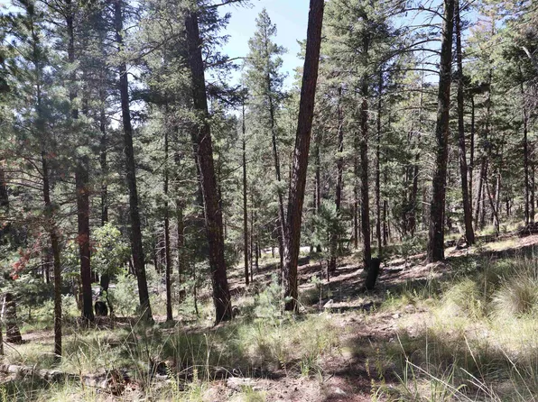 96 Silver Fox Trl #2, Mayhill, NM 88339