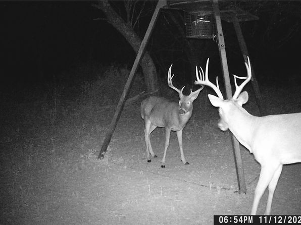0 County Road 267, Early, TX 76802