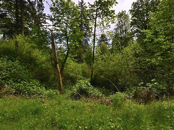 4th image of 0 SE Maple Hill Ln