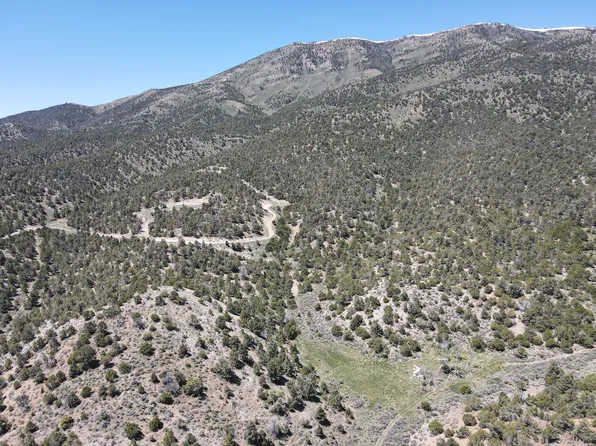 10 E Ward Mountain Dr, Ely, NV 89301
