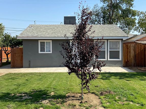 New fruitless plum tree planted. It will grow big and tall and provide ample shade in time!
