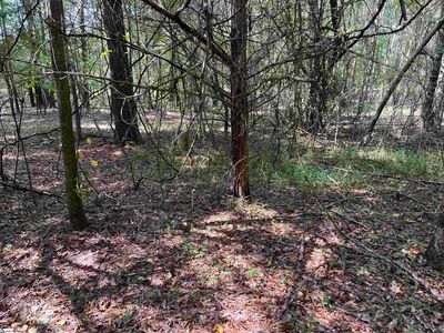 0 Tubbs Mountain Rd LOT 2, Travelers Rest, SC, 29690