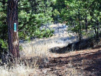 450 Sugarloaf Mountain Ln, Cascade, MT, 59421