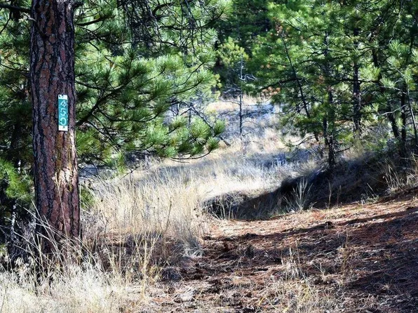 450 Sugarloaf Mountain Ln, Cascade, MT 59421