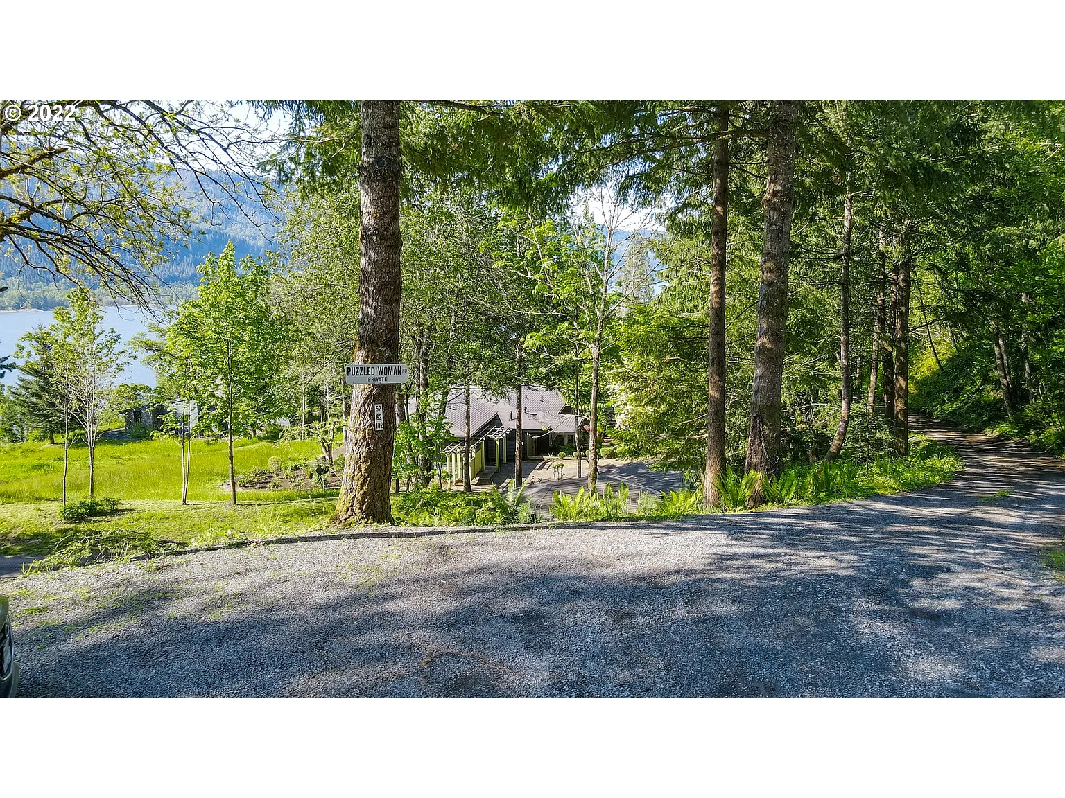 102 Puzzled Woman Rd photo 1