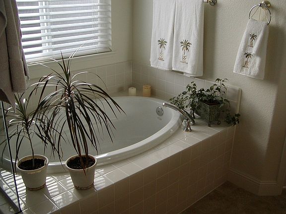 3rd image of 2104 Stockman Cir
