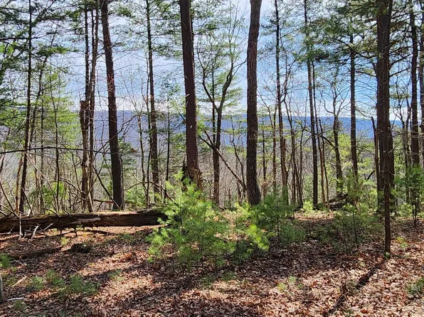 1605 Paddys Run Rd, Star Tannery, VA 22654