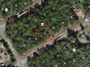 485 W Union Pl, Citrus Springs, FL 34434