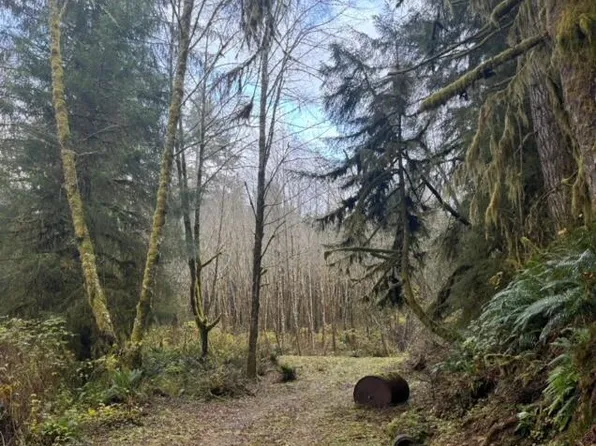 Tl 201 Hwy #20, Toledo, OR 97391