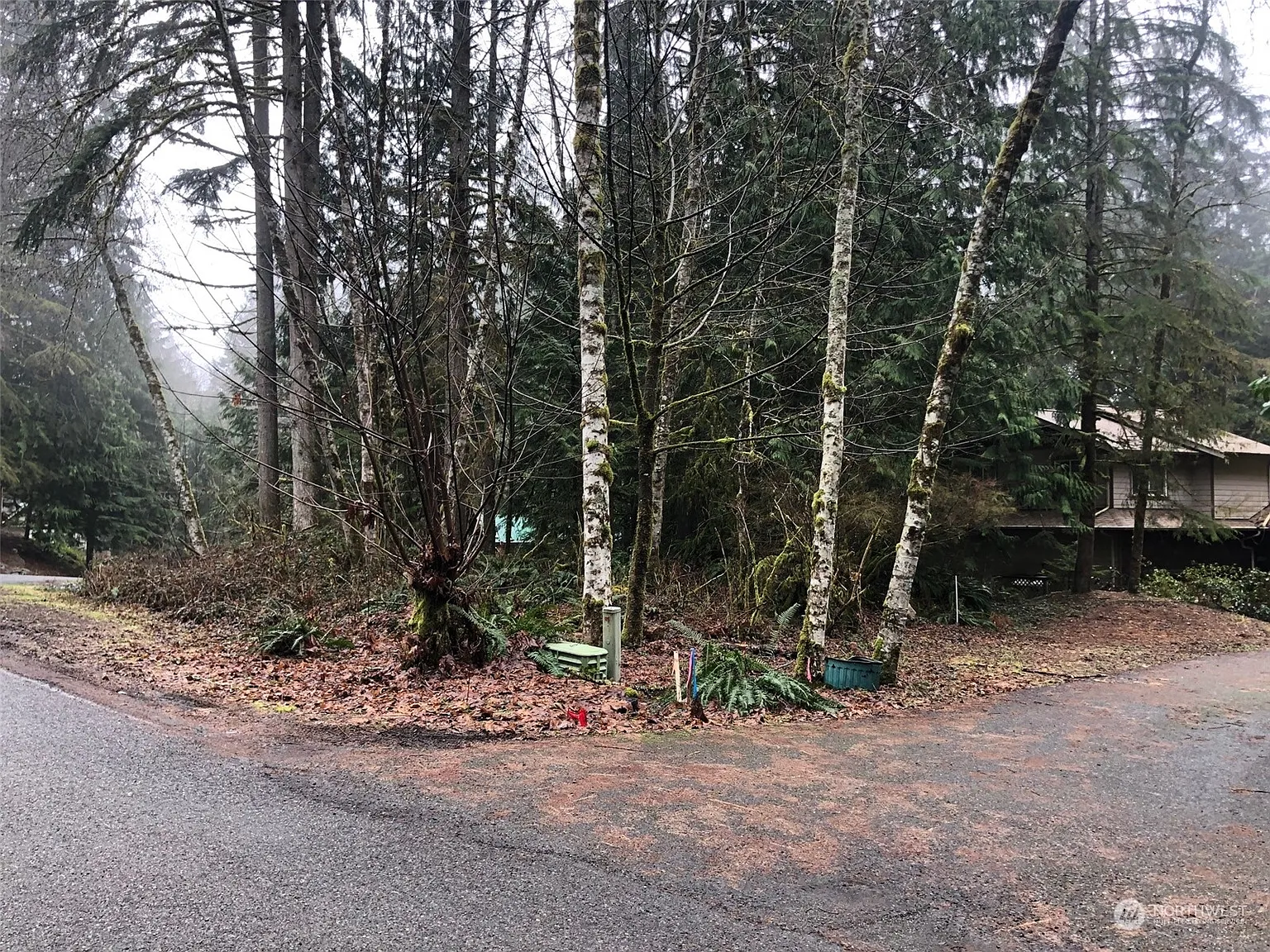 22 Bigleaf Lane photo 1