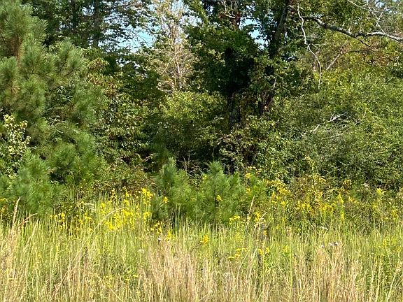 4th image of 0 Old Powerline Rd NE