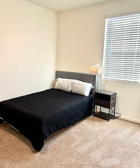 10424 Skynyrd Way — Photo 4