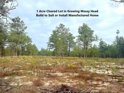 Round Table Rd, Defuniak Springs, FL, 32433