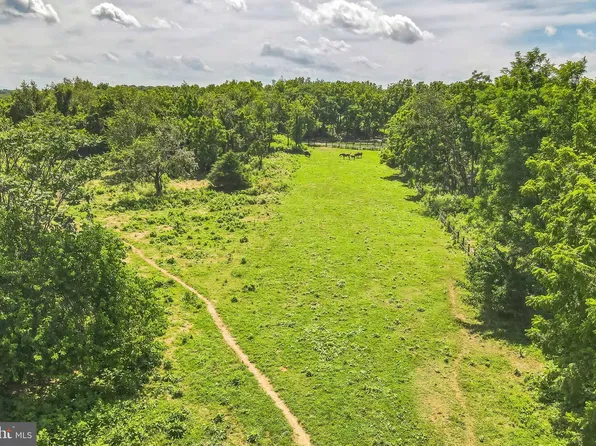 1683 Withers Larue Rd, Berryville, VA 22611