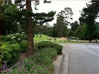 Golf course view from street