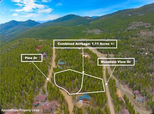 111 Pine Dr, Idaho Springs, CO 80452