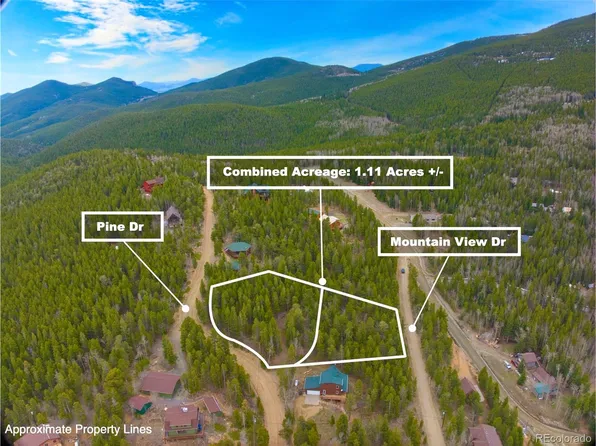 111 Pine Drive, Idaho Springs, CO 80452