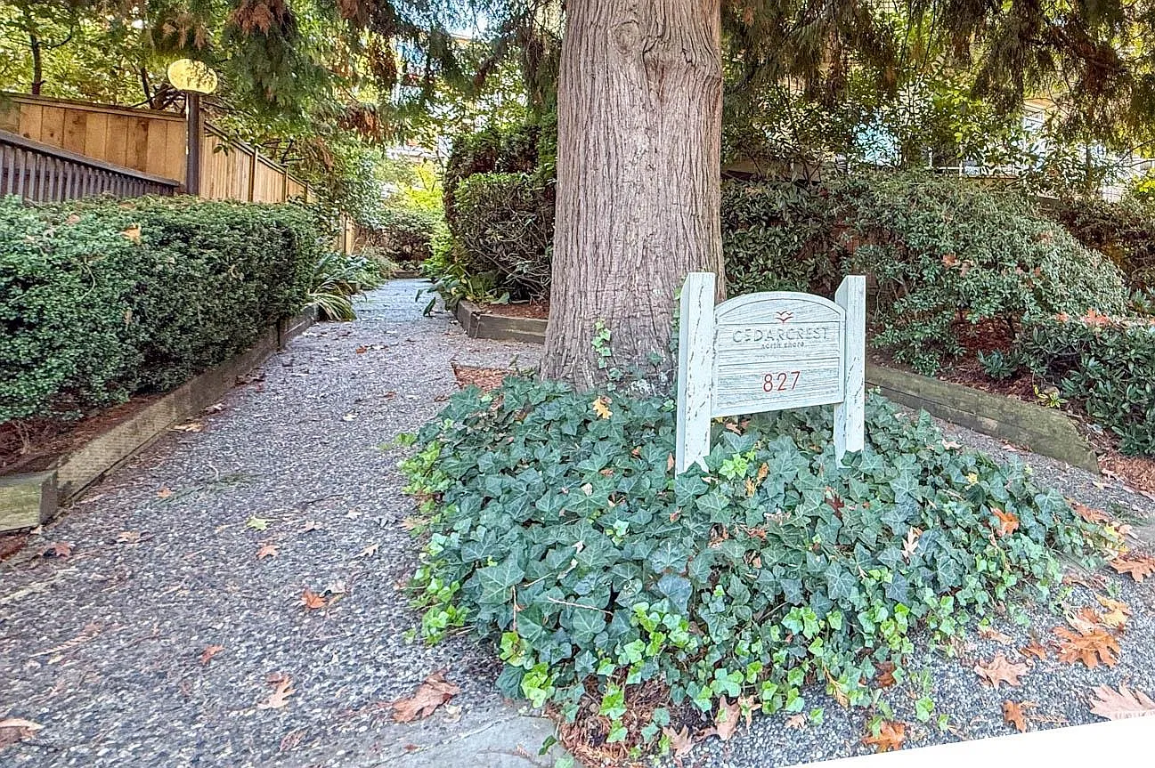 1 bed, 617 sqft, $2,300 — Photo 4