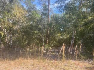 Bay Rd #9, Ocklawaha, FL 32179