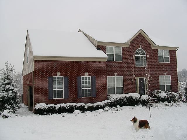 snowy winter view of home