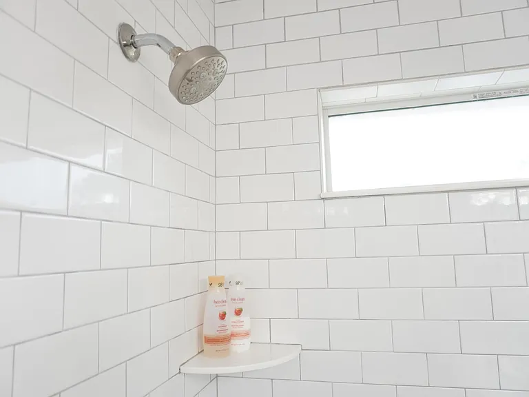 Primary Shower