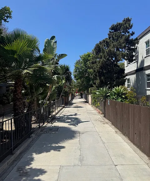 48 Paloma Ave #3 — Photo 18