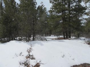 839 Crooked Rd, Pagosa Springs, CO 81147